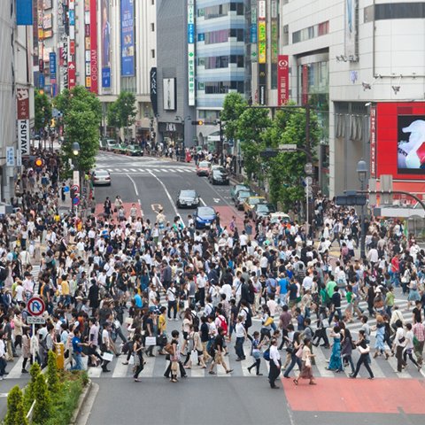 Socioeconomic and political context