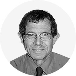 Professor Peter Goldblatt